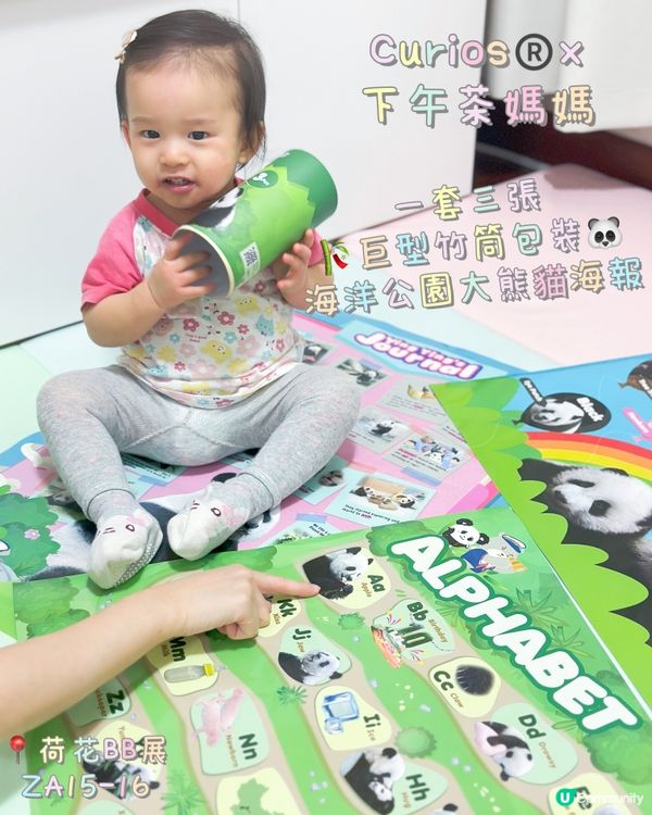 好奇媽媽海洋公園熊貓海報🐼