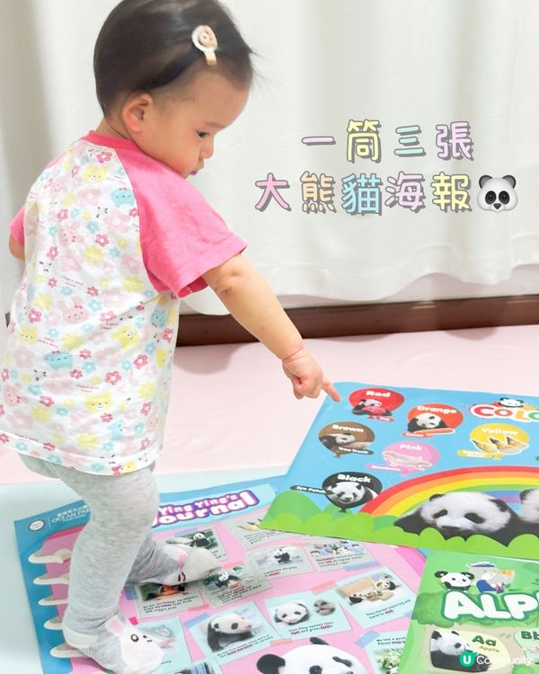 好奇媽媽海洋公園熊貓海報🐼