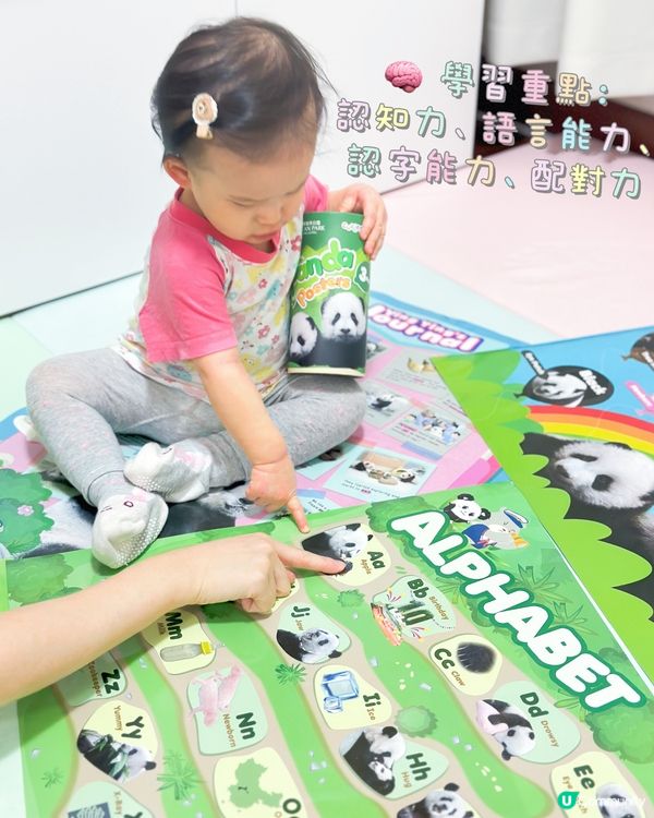 好奇媽媽海洋公園熊貓海報🐼