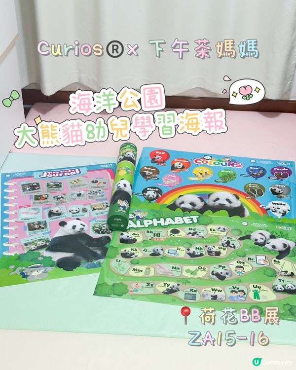 好奇媽媽海洋公園熊貓海報🐼