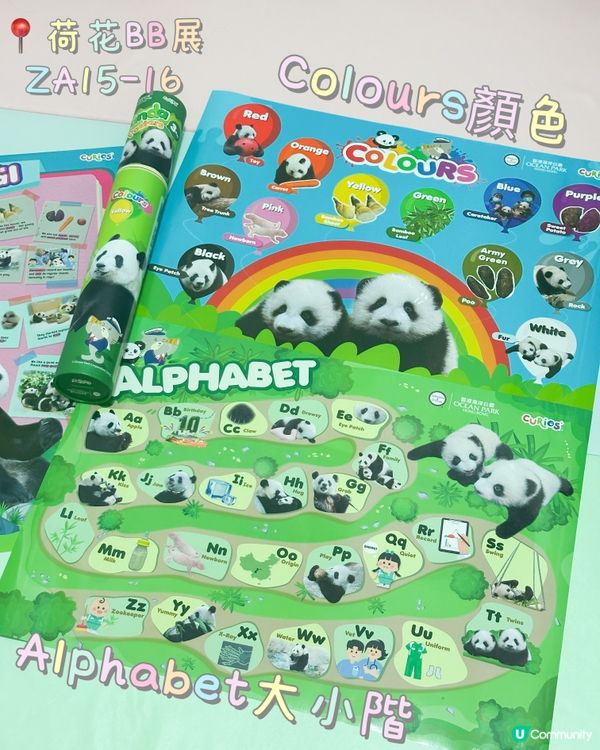 好奇媽媽海洋公園熊貓海報🐼