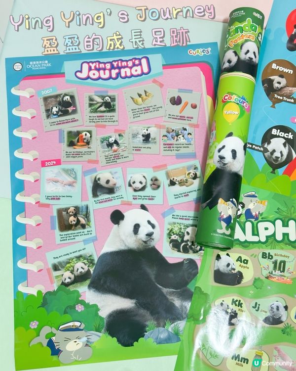 好奇媽媽海洋公園熊貓海報🐼