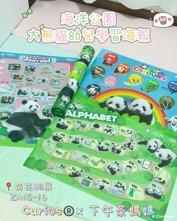 好奇媽媽海洋公園熊貓海報🐼