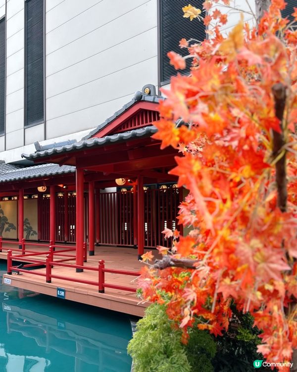 峴港三日月水上樂園🌊親子必玩！🤩