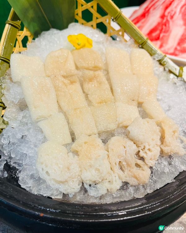 屯門椰子雞🥥！清甜湯底+嫩滑雞😋！ #四季椰林 #海南