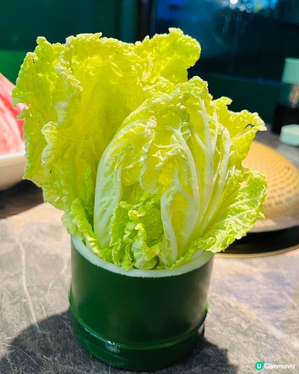 屯門椰子雞🥥！清甜湯底+嫩滑雞😋！ #四季椰林 #海南