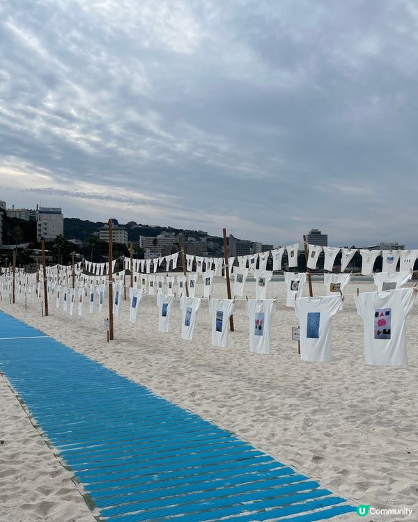 南紀白濱町🏖️！關西度假勝地，玩水一流！🌊☀️