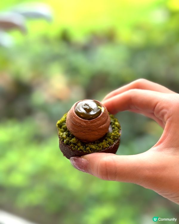 歷山開心果下午茶！宮廷風打卡📸😋