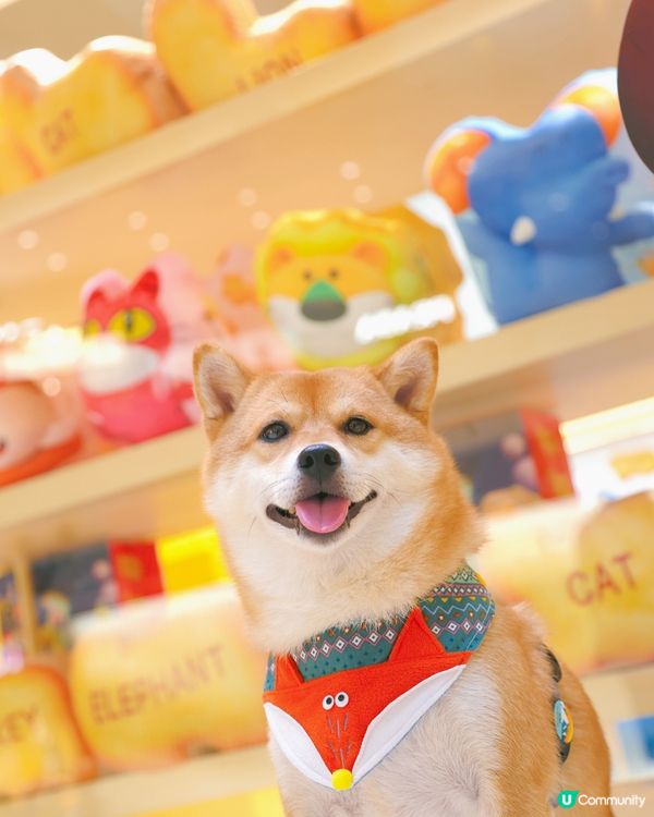 《愉快動物餅大電影》期問限定店