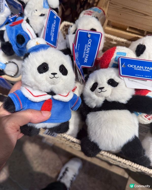 放假去海洋公園🐼 bb勁可愛！🥰