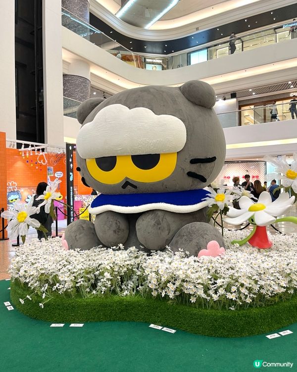 GD 趣緻貓打卡花圃