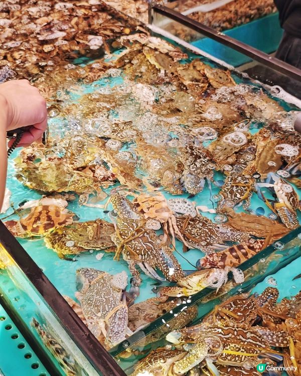 無限🦞鮮活🦐海産🦀任你食