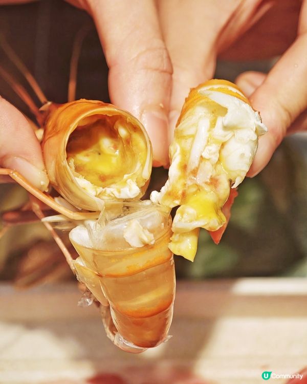 無限🦞鮮活🦐海産🦀任你食