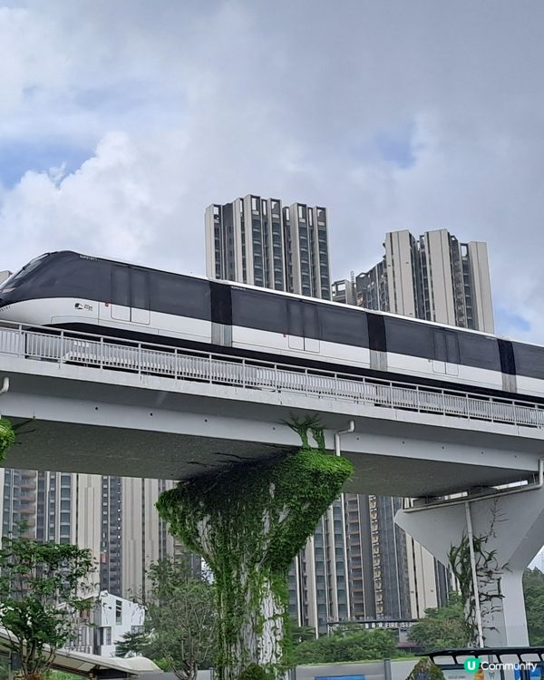 雲中巴士坪山1號線