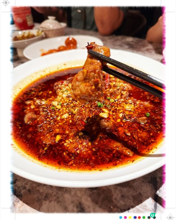 ✅渝月川探店記！😋 抵食！