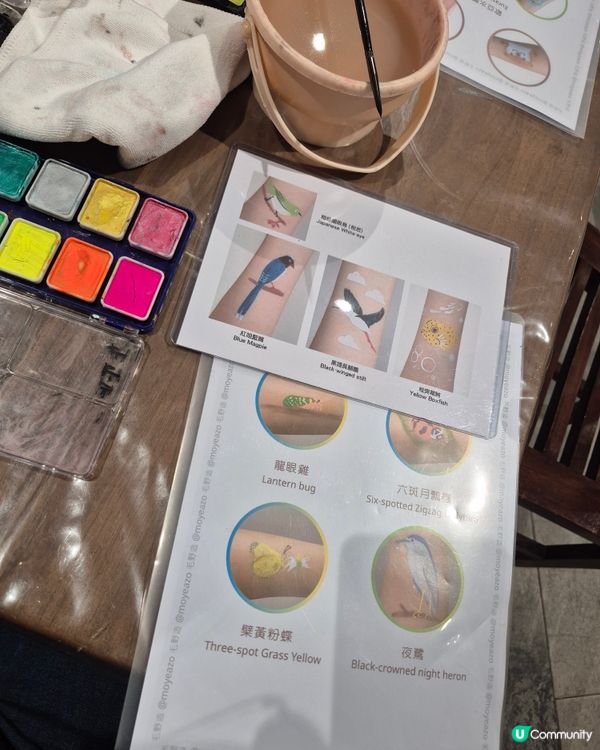 超好玩的WWF香港生物多樣性嘉年華🥰