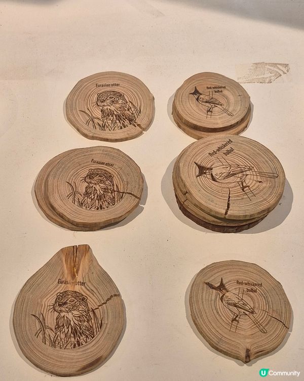 超好玩的WWF香港生物多樣性嘉年華🥰