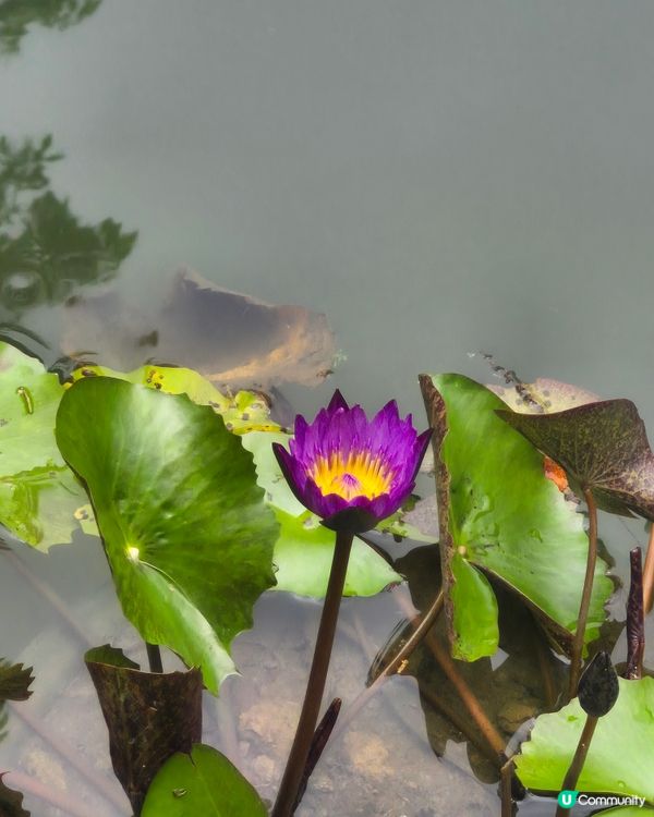 超好玩的WWF香港生物多樣性嘉年華🥰