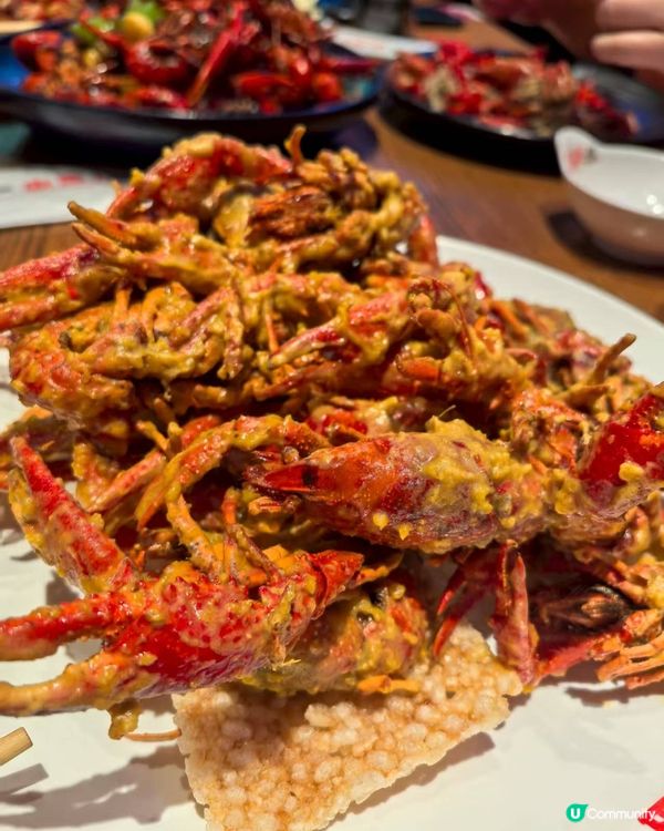 深圳福田「紅盔甲」必食！🦞小龍蝦殿堂，款款都多肉好食🤤