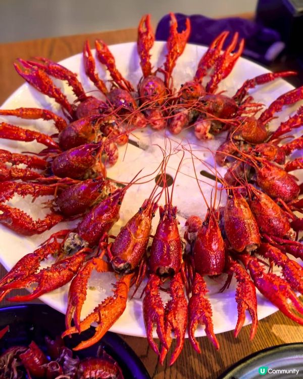 深圳福田「紅盔甲」必食！🦞小龍蝦殿堂，款款都多肉好食🤤
