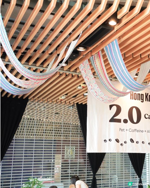 Cafe 2.0 重開啦！狗狗可以落地行🥳！ #寵物友善餐廳