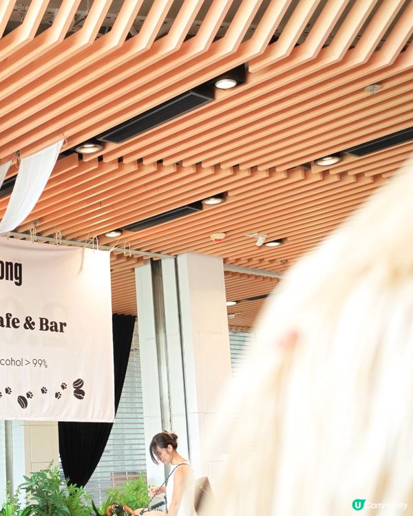 Cafe 2.0 重開啦！狗狗可以落地行🥳！ #寵物友善餐廳