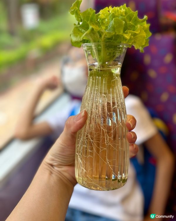 「⛺️煤氣綠火焰STEAM達人夏令營 」