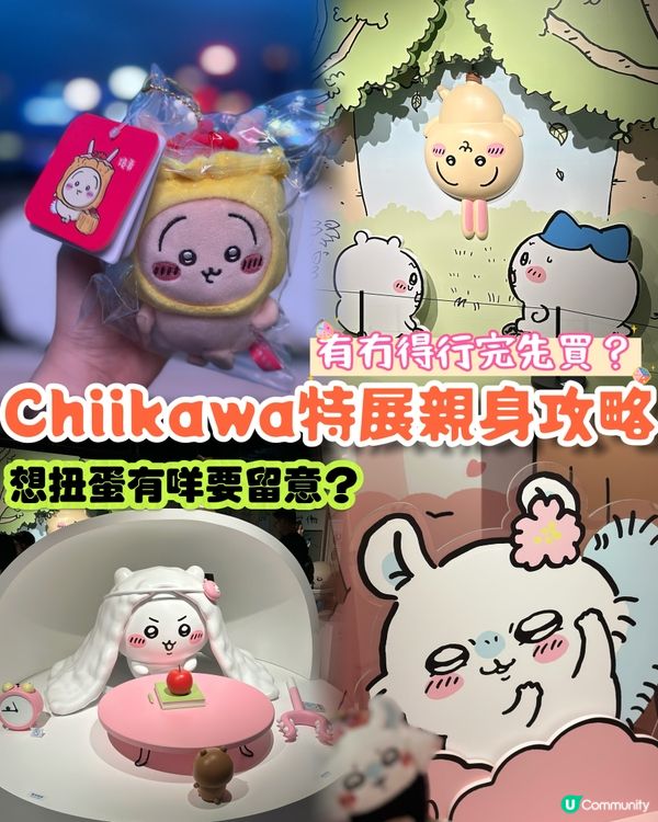 Chiikawa入場前必睇！持票人店買嘢有咩要留意？