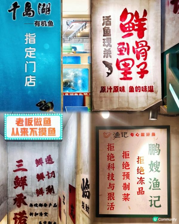 皇崗村有千島湖胖頭魚