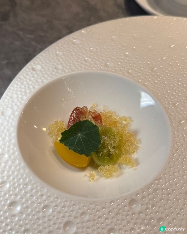 中環高級中菜🤤！維港靚景+世味人生😋！