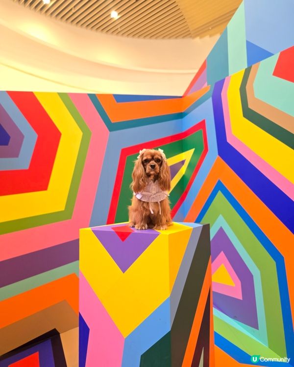 德國柏林藝術團體 TAPE THAT