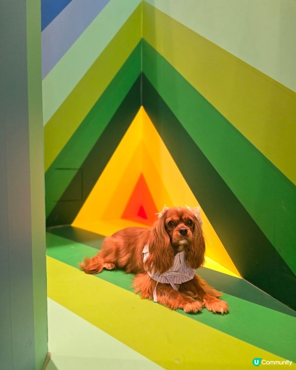 德國柏林藝術團體 TAPE THAT