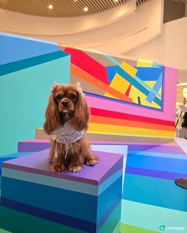 德國柏林藝術團體 TAPE THAT