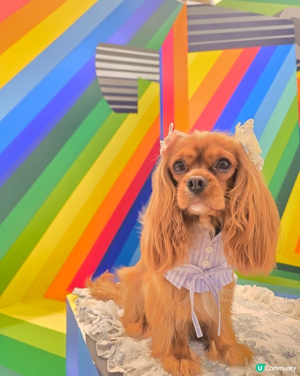 德國柏林藝術團體 TAPE THAT