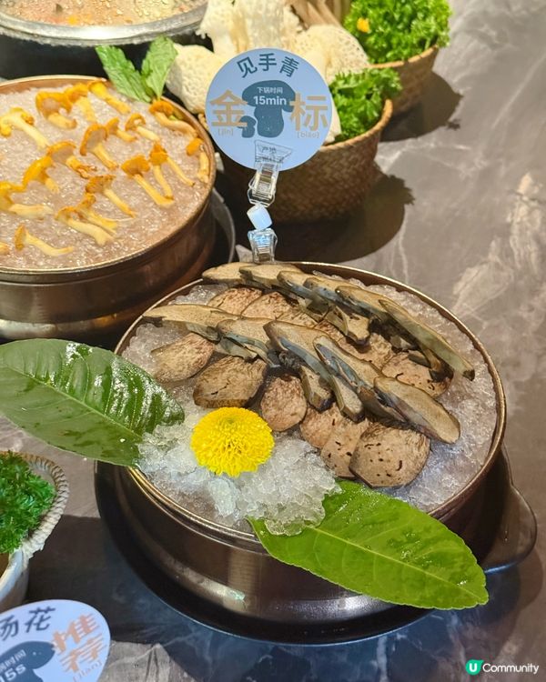 【豪華菌鍋🔥！野味の盛宴😋】