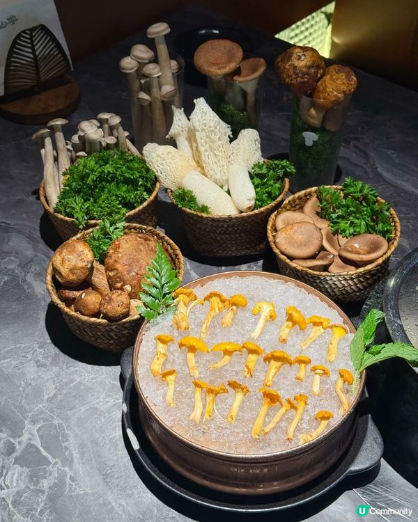 【豪華菌鍋🔥！野味の盛宴😋】