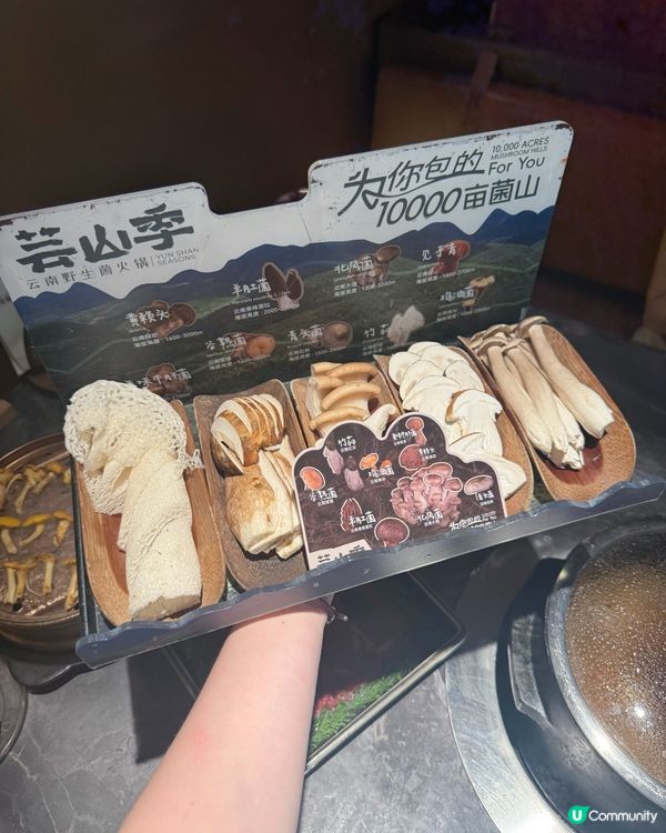 【豪華菌鍋🔥！野味の盛宴😋】