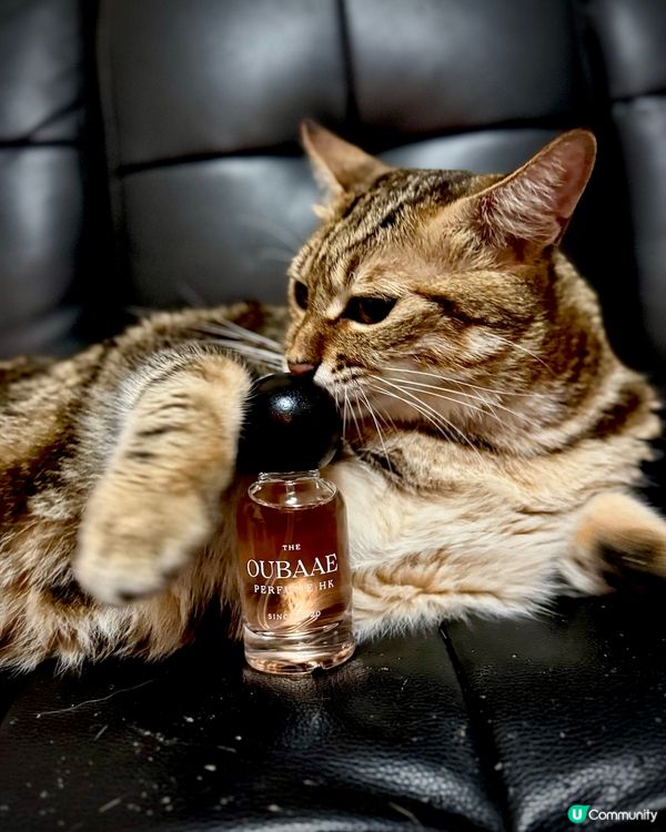 木地品牌 Perfume