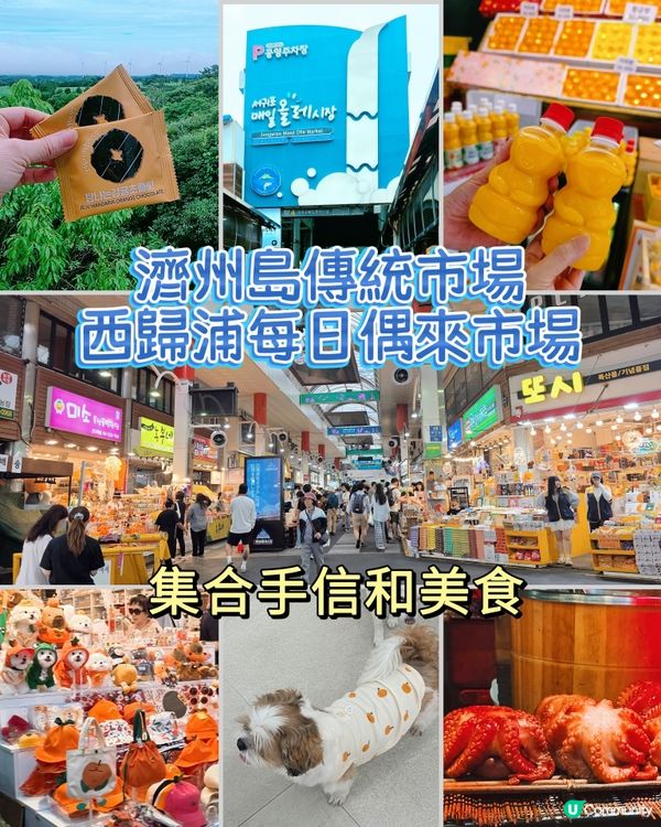 濟州島傳統市場😋手信美食買不停🛍️！