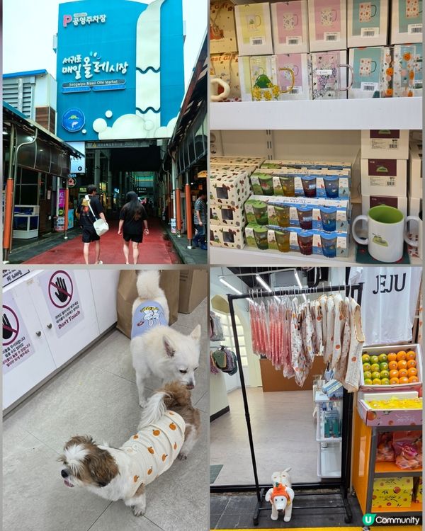 濟州島傳統市場😋手信美食買不停🛍️！