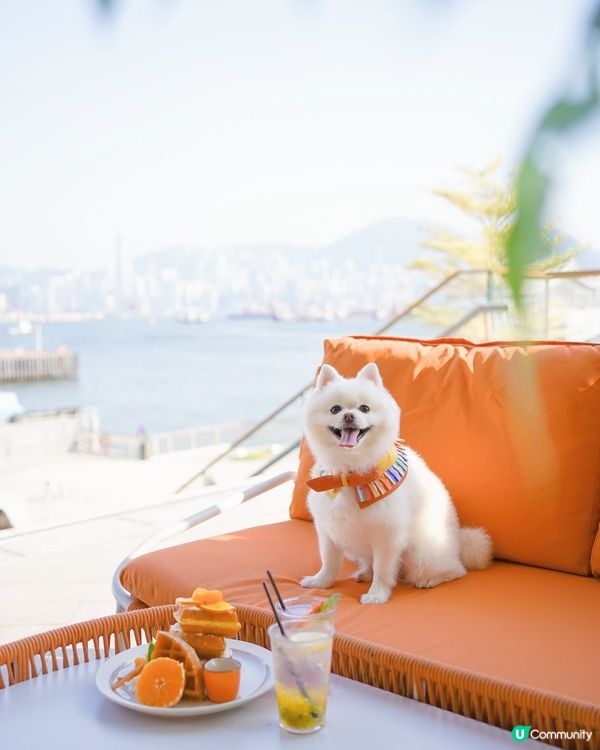 Chill住睇日落食tea☕️🌅