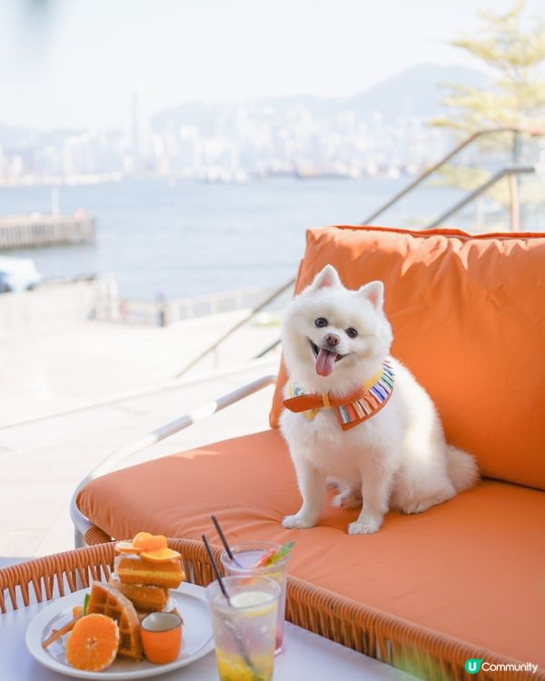 Chill住睇日落食tea☕️🌅