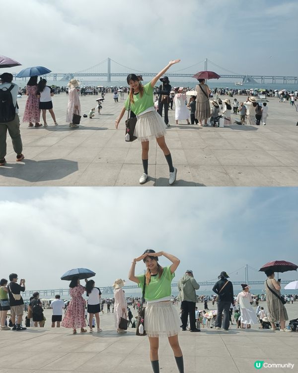 星海廣場 餵海鷗好去處