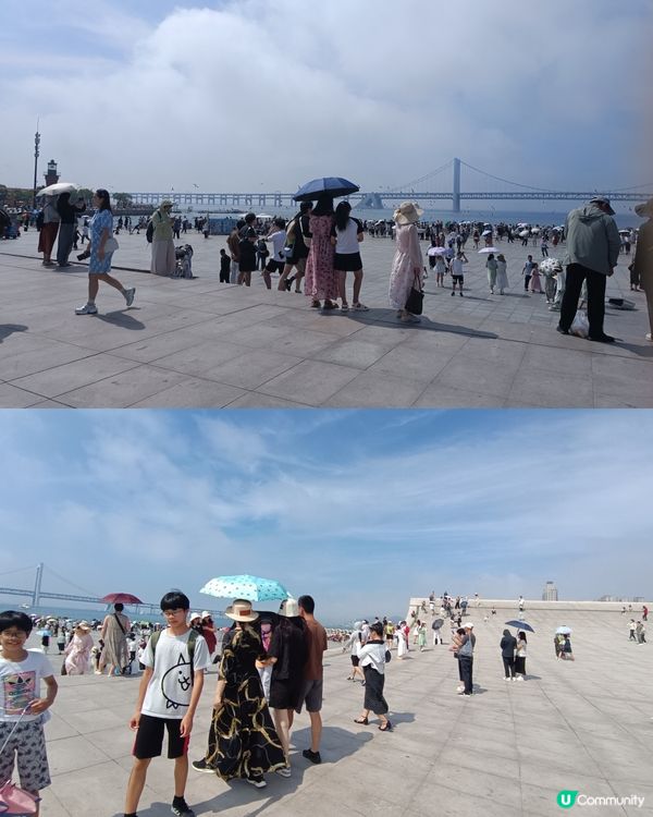 星海廣場 餵海鷗好去處