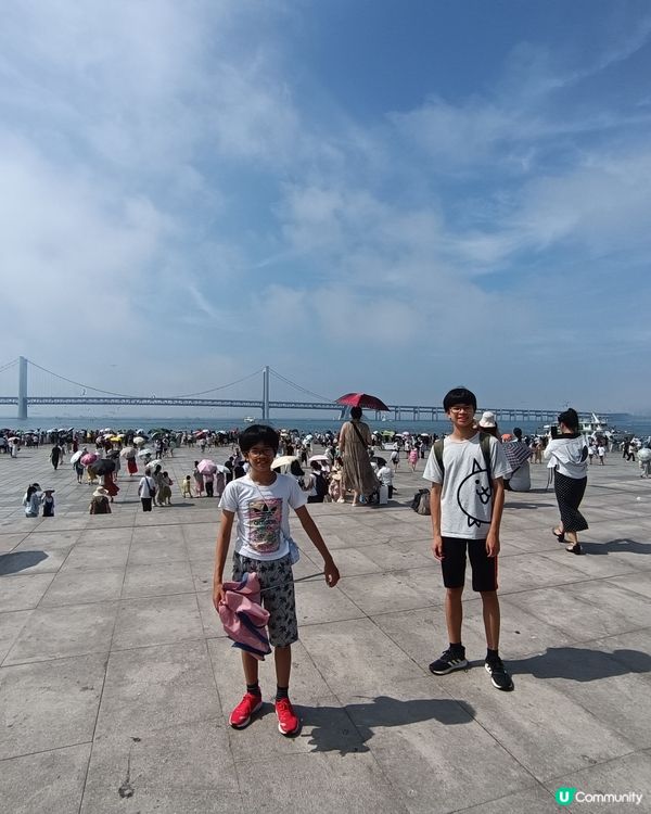 星海廣場 餵海鷗好去處