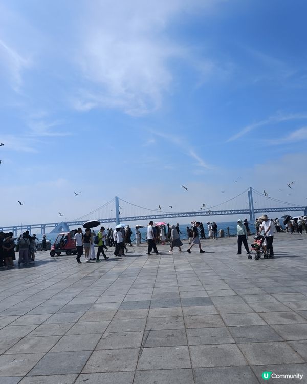 星海廣場 餵海鷗好去處