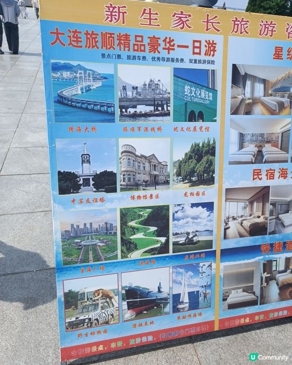 星海廣場 餵海鷗好去處