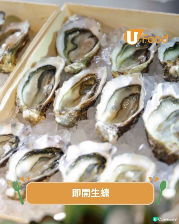 4小時任食！快閃三文魚主題自助餐 魚生他他/威靈頓牛肉/即開生蠔