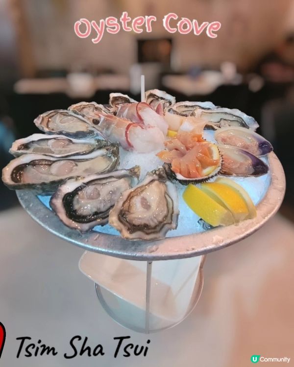 尖咀生蠔大比拼！逐粒試😋！龍蝦意粉有驚喜