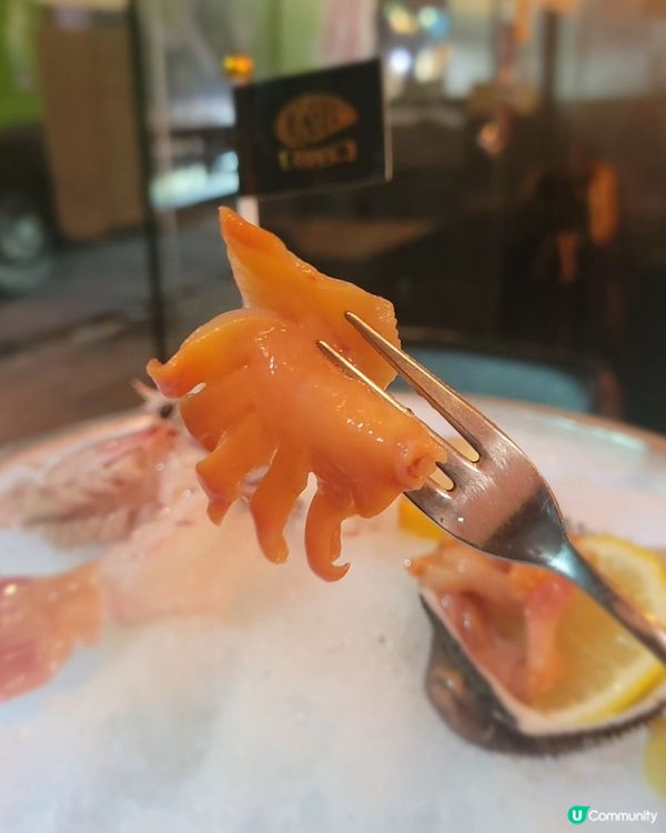 尖咀生蠔大比拼！逐粒試😋！龍蝦意粉有驚喜